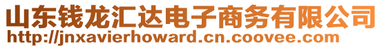 山東錢龍匯達電子商務(wù)有限公司