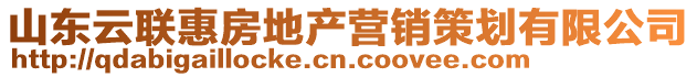 山東云聯(lián)惠房地產(chǎn)營銷策劃有限公司