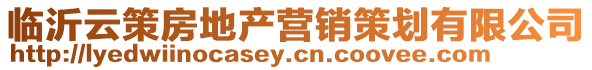 臨沂云策房地產(chǎn)營(yíng)銷策劃有限公司