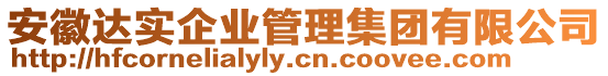 安徽達(dá)實(shí)企業(yè)管理集團(tuán)有限公司