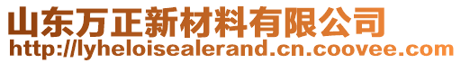 山東萬正新材料有限公司