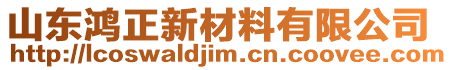 山東鴻正新材料有限公司