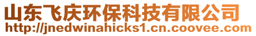 山東飛慶環(huán)保科技有限公司