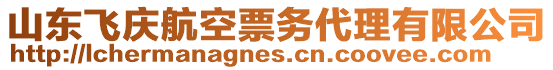 山東飛慶航空票務(wù)代理有限公司