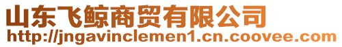 山東飛鯨商貿有限公司