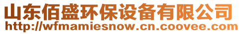 山東佰盛環(huán)保設(shè)備有限公司