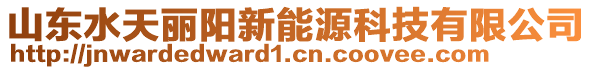 山東水天麗陽新能源科技有限公司