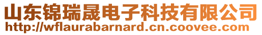 山東錦瑞晟電子科技有限公司