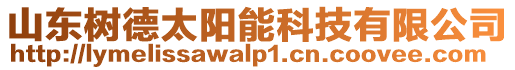 山東樹(shù)德太陽(yáng)能科技有限公司