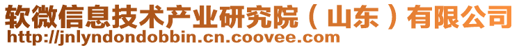 軟微信息技術(shù)產(chǎn)業(yè)研究院(山東)有限公司