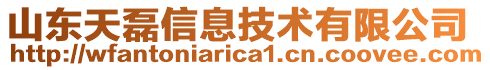 山東天磊信息技術有限公司