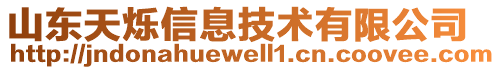 山東天爍信息技術(shù)有限公司