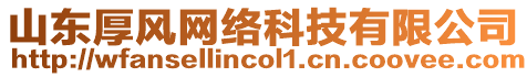 山東厚風(fēng)網(wǎng)絡(luò)科技有限公司