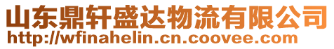 山東鼎軒盛達物流有限公司