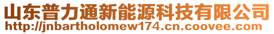 山東普力通新能源科技有限公司