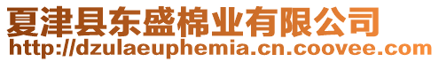 夏津縣東盛棉業(yè)有限公司