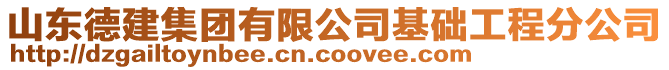 山東德建集團有限公司基礎工程分公司