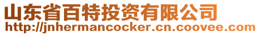 山東省百特投資有限公司
