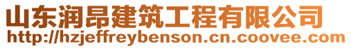 山東潤(rùn)昂建筑工程有限公司