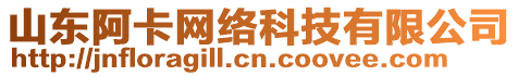 山東阿卡網(wǎng)絡(luò)科技有限公司