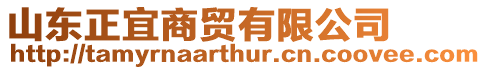 山東正宜商貿有限公司
