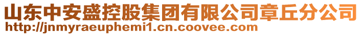 山東中安盛控股集團有限公司章丘分公司
