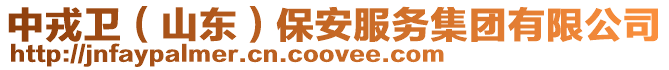 中戎衛(山東)保安服務集團有限公司