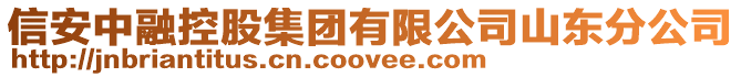 信安中融控股集團有限公司山東分公司