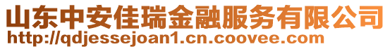 山東中安佳瑞金融服務有限公司