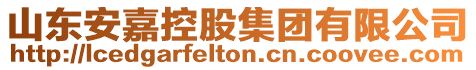 山東安嘉控股集團(tuán)有限公司