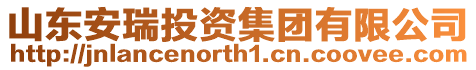山東安瑞投資集團有限公司