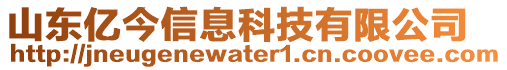 山東億今信息科技有限公司