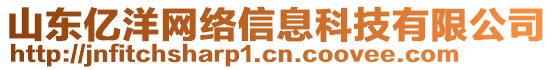 山東億洋網絡信息科技有限公司