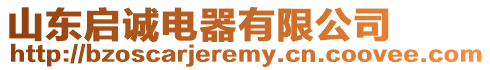 山東啟誠電器有限公司