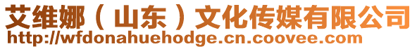 艾維娜(山東)文化傳媒有限公司