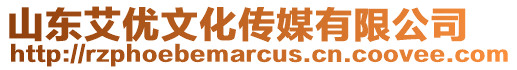 山東艾優(yōu)文化傳媒有限公司