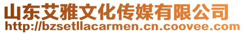 山東艾雅文化傳媒有限公司