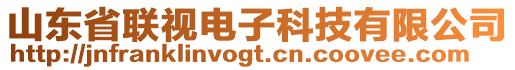 山東省聯(lián)視電子科技有限公司