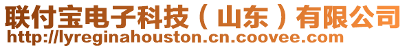 聯付寶電子科技（山東）有限公司