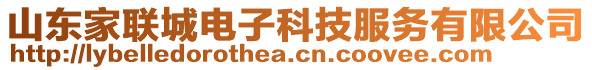 山東家聯(lián)城電子科技服務(wù)有限公司