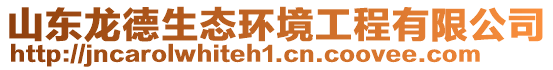 山東龍德生態環境工程有限公司