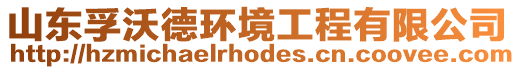 山東孚沃德環(huán)境工程有限公司