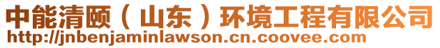 中能清頤(山東)環(huán)境工程有限公司