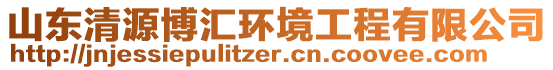 山東清源博匯環境工程有限公司