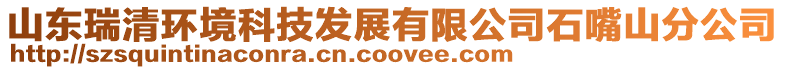 山東瑞清環境科技發展有限公司石嘴山分公司