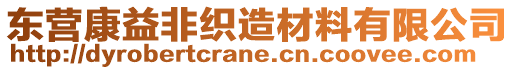 東營康益非織造材料有限公司