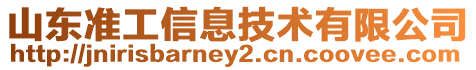 山東準工信息技術有限公司