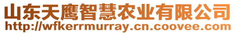 山東天鷹智慧農(nóng)業(yè)有限公司