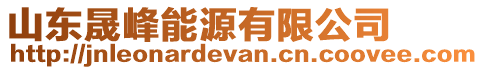 山東晟峰能源有限公司