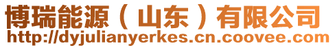 博瑞能源(山東)有限公司